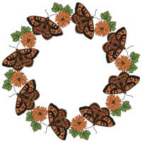 Sizzix • clear stamp set nature butterflies 13pcs - thumbnail