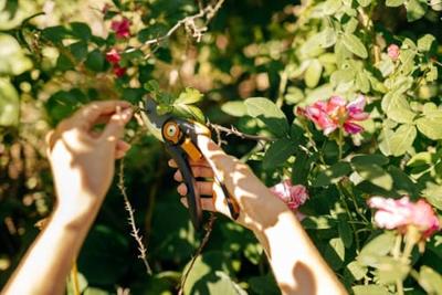 FISKARS "plus smartfit" tuinschaar pruning shears p541 - thumbnail