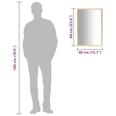 VidaXL Spiegel 60x40 cm goudkleurig