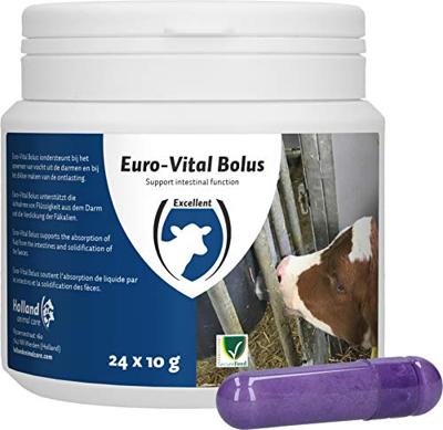 Excellent Euro-Vital Bolus 24 x 10 g Excellent Euro-Vital Bolus 24 x 10 g
