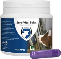 Excellent Euro-Vital Bolus 24 x 10 g - thumbnail