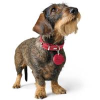 HUNTER Hondenpenning etui Aalborg, rood, Maat: S - thumbnail