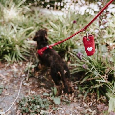 HUNTER Hondenpoepzakjes-tasje Love, bruin