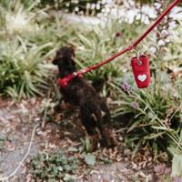 HUNTER Hondenpoepzakjes-tasje Love, bruin - thumbnail