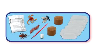 SES Glowing fossils SES Glowing fossils