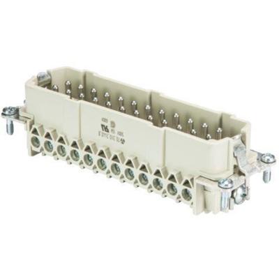 Wieland Electric 70.310.2440.0 Pin-inzetstuk BAS Totaal aantal polen 24 + PE 1 stuk(s) Wieland Electric 70.310.2440.0 Pin-inzetstuk BAS Totaal aantal polen 24 + PE 1 stuk(s)