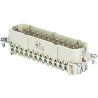 Wieland Electric 70.310.2440.0 Pin-inzetstuk BAS Totaal aantal polen 24 + PE 1 stuk(s) - thumbnail
