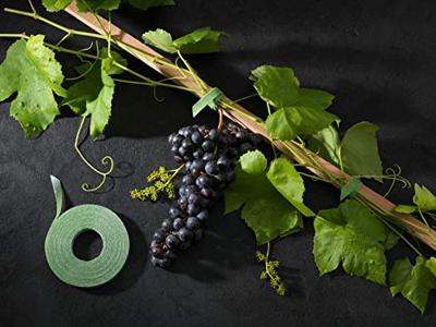 VELCRO® Klittenband Universeel Om te bundelen, Voor planten en tuin Haak- en lusdeel (l x b) 20 cm x 1.2 cm Groen 25 stuk(s)
