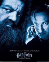 Poster Harry Potter - the Prisoner of Azkaban 40x50cm - thumbnail