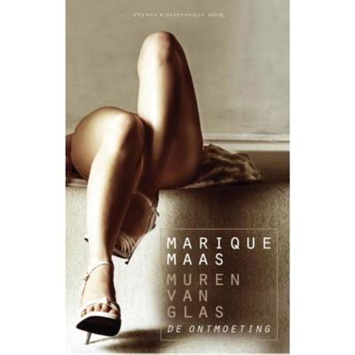 De ontmoeting (Paperback)