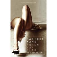De ontmoeting (Paperback) - thumbnail
