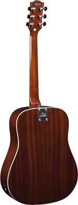 EKO Vintage Reissue Ranger VI Natural akoestische westerngitaar