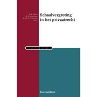 Schaalvergroting in het Privaatrecht (Paperback) - thumbnail