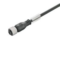 Weidmüller 1108740200 Sensor/actuator connector, geassembleerd M12 Aantal polen (sensoren): 4 Bus, recht 2.00 m 1 stuk(s) - thumbnail