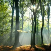 Alexsar Art Tuinschilderij zonnestraal 70x70cm - thumbnail