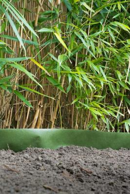 Wortelbegrenzer groen