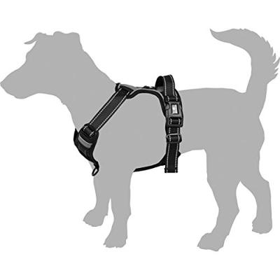 Hondentuig Balou Rood L 60-85 cm x 25 mm