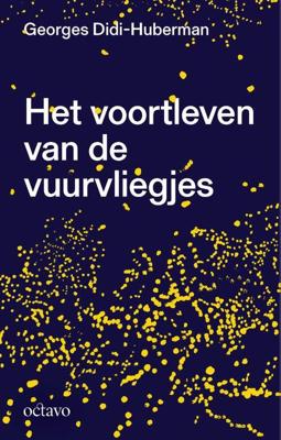 Het voortleven van de vuurvliegjes (Paperback)