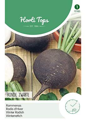 Zaden Rammenas Ronde Zwarte (Winter) Hortitops - Hortitops