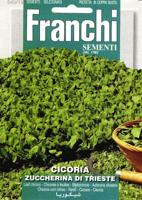 Cichorei Cicoria Di Trieste 40/18 zaden Franchi - Franchi - thumbnail