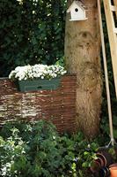 Elho green basics balkonbak all-in-1 50 cm blad groen - thumbnail