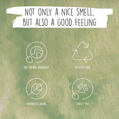 We Love The Planet Diffuser 'Light Lemongrass' - 50 ml We Love The Planet Diffuser 'Light Lemongrass' - 50 ml