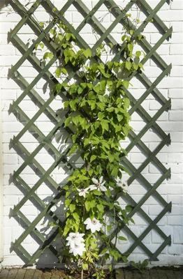 Houten klimrek groen b100h200cm fsc Nature - Nature