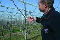 Metabo KS 305 M Kapzaag 1600 W 305 mm 30 mm - thumbnail