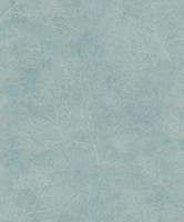 Emil & Hugo Moana 300481 - thumbnail