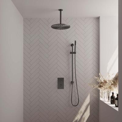 BRAUER Gunmetal Edition thermostatische inbouw regendouche 3-weg omstelling SET 42 met 30 cm douchekop en plafondarm en staaf handdouche en doucheslang en geïntegreerde glijstang gunmetal geborsteld PVD BRAUER Gunmetal Edition thermostatische inbouw regendouche 3-weg omstelling SET 42 met 30 cm douchekop en plafondarm en staaf handdouche en doucheslang en geïntegreerde glijstang gunmetal geborsteld PVD