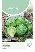 Zaden IJssla Great Lakes 118 Hortitops - Hortitops - thumbnail