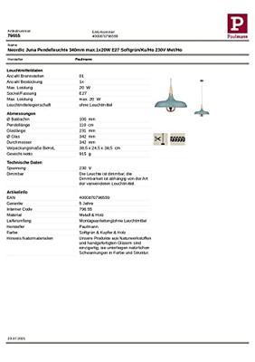 Paulmann Neordic Juna 79655 Hanglamp LED E27 20 W Zachtgroen, Koper, Hout