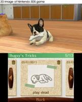 Nintendogs + Cats Retriever (Nintendo Selects) - thumbnail