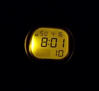 Casio LW-203-2AVEF Grijs (Ø 35 mm) Heren horloge - thumbnail