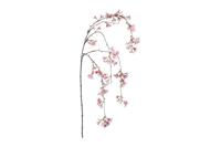 Decostar kersenbloesem tak hangend Hilary 125 cm roze - thumbnail