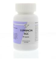 Holisan Holisan Lumbacin Sgc Ayurveda (60ca) - thumbnail