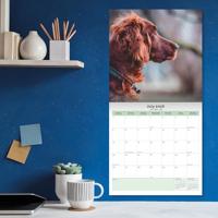 Ierse Setter Kalender 2026 - thumbnail