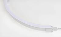 LED Neon Flex Flat Professional wit 24V 5700K 10M met aansluitkabel 110-041 - thumbnail