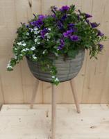 Rieten plantenbak grijs op poten met zomerbloeiers paars/blauw h55 cm Warentuin Natuurlijk - Warentuin natuurlijk - thumbnail
