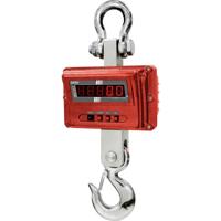 Kern HFM 1T0.1 Kraanweegschaal Weegbereik (max.) 1000 kg Resolutie 100 g - thumbnail