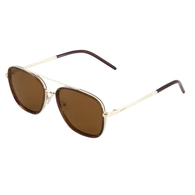 Sinner Nuqi Zonnebril