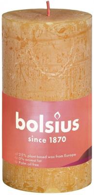 Bolsius Rustiekkaars shine 100/50 honeycomb yellow 1 Stuks Bolsius Rustiekkaars shine 100/50 honeycomb yellow 1 Stuks