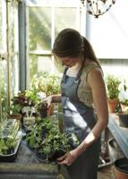 Elho Schotel kweektray 24cm zwart - thumbnail