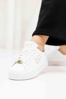 Versace Jeans Couture Fondo Court Sneakers Dames Wit - Maat 37 - Kleur: GoudWit | Soccerfanshop - thumbnail