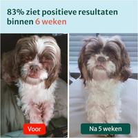 Dogsuppy Anti-Jeuk Probiotica Forte Chewies - thumbnail