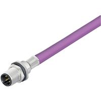 Weidmüller 2484420200 Sensor/actuator connector, geassembleerd M12 Aantal polen (sensoren): 5 2.00 m 1 stuk(s) - thumbnail