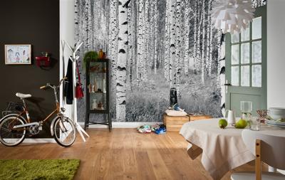 Komar Home; Komar Colours Fotobehang Woods - XXL4-023