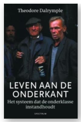 Leven aan de onderkant - Theodore Dalrymple - ebook