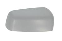 Behuizing, buitenspiegel 6103011298398P - thumbnail