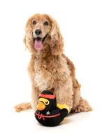 Fuzzyard duck quackie chan pluche - thumbnail